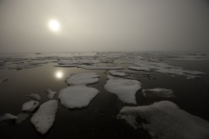 Melting Sea Ice