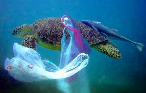 turtle-plastic-bag-under-water-deep-sea-blue-ocean-garbage-trash-ecology-swim-fish-pollution-caught-shell-legs-toes-feet-head-photo